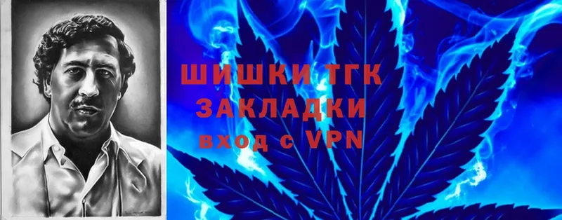 Каннабис SATIVA & INDICA  Куровское 